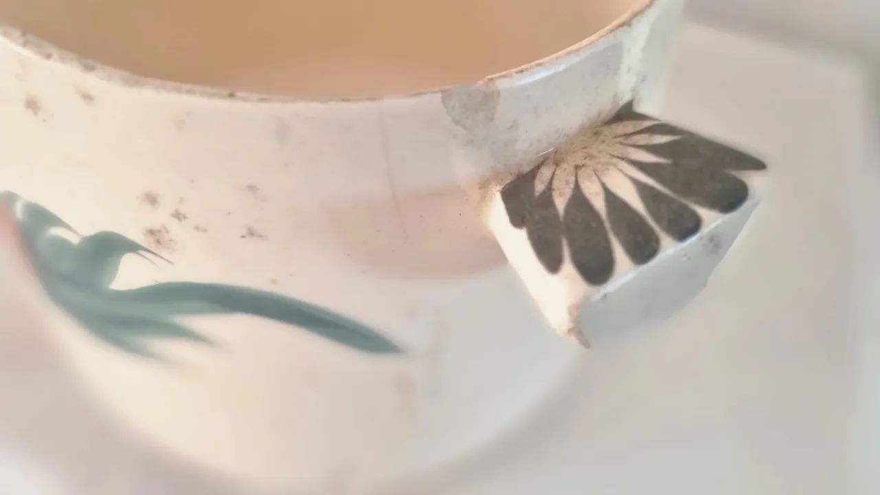 Pote chinês  - Foto 4