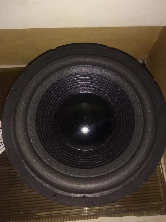 Falante Gradiente 10 polegadas, 3,2 OHMS