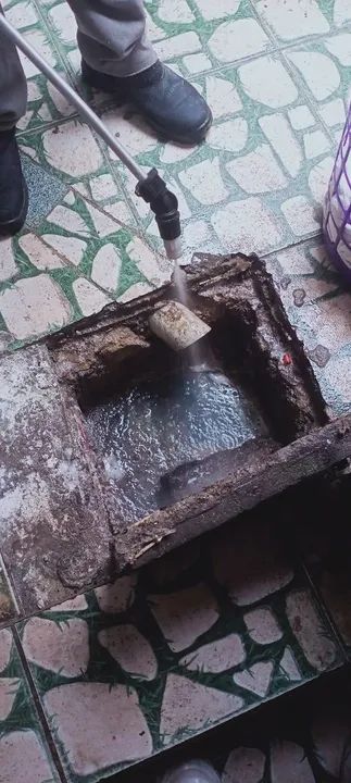 Serviço profissional de controle de pragas  - Foto 5