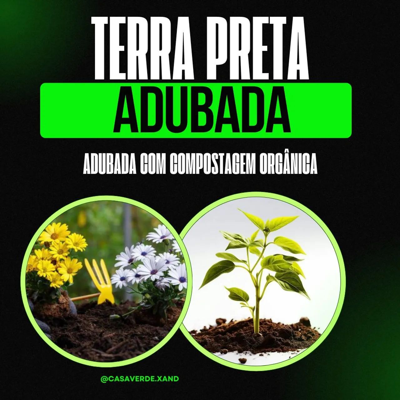 Terra Preta Adubada com Compostagem Orgânica