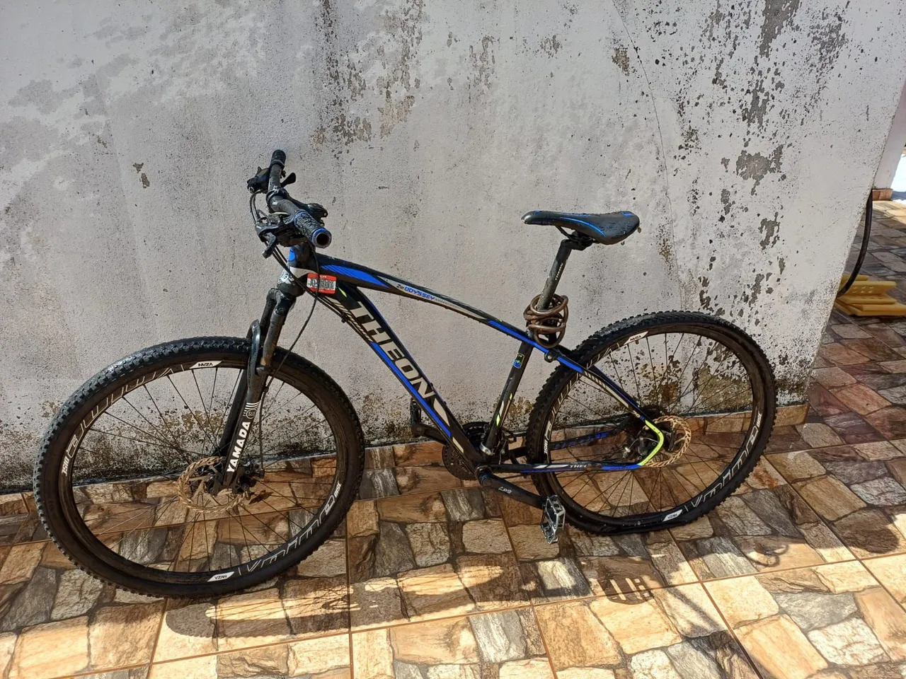 Bicicleta Theon Aro 29