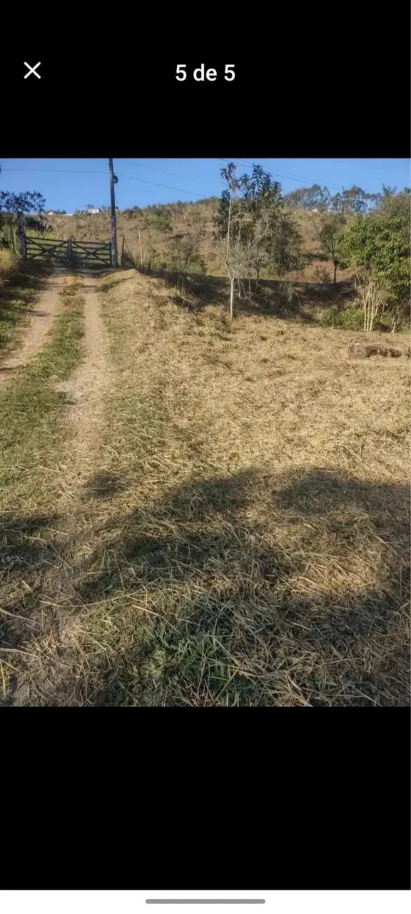 Foto - Juiz de Fora - Bairu