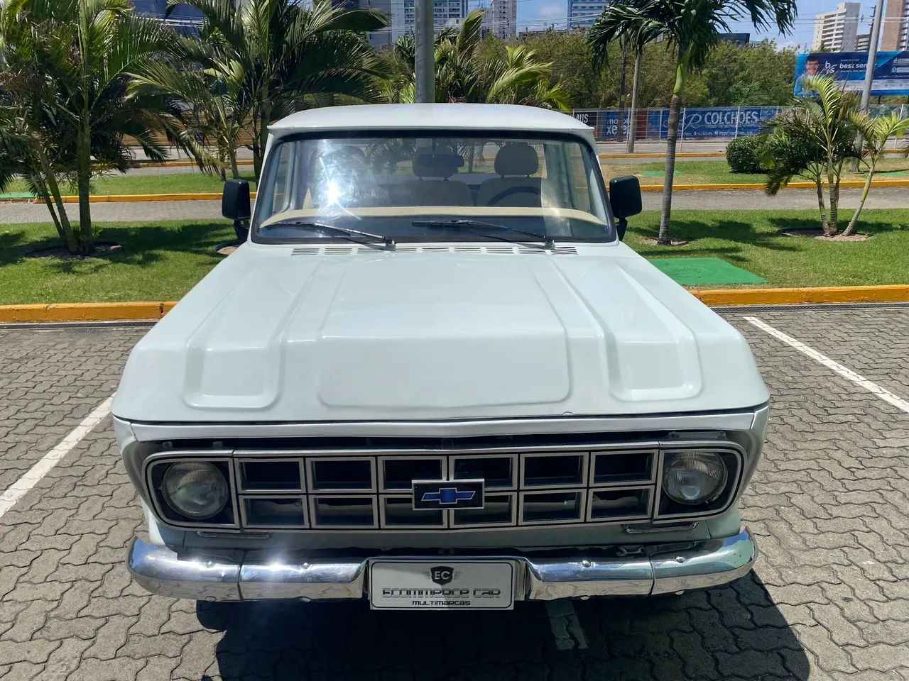 Chevrolet C-10 2.5/4.1 1980