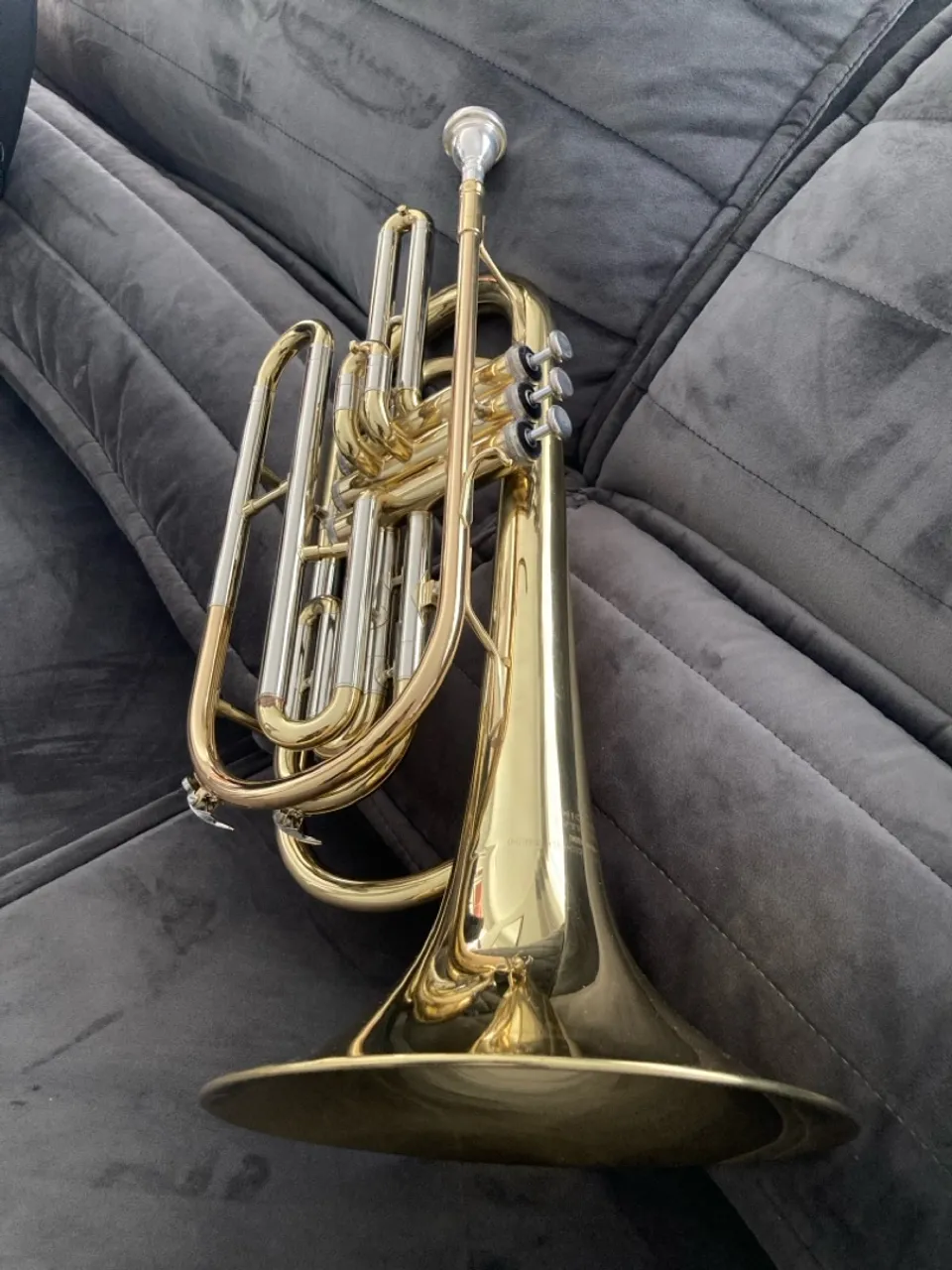 Trombonito Michael sib