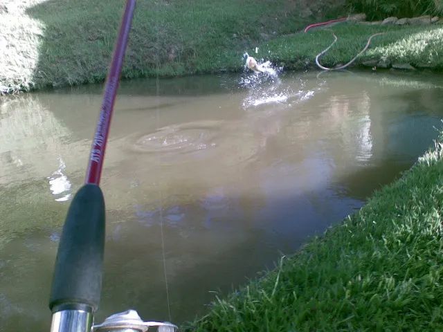 Sitio para finais de semana e temporada Atibaia - Foto 5