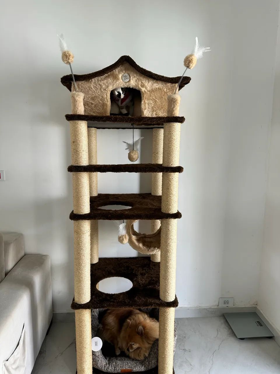  vende se casa para gatos - Foto 2