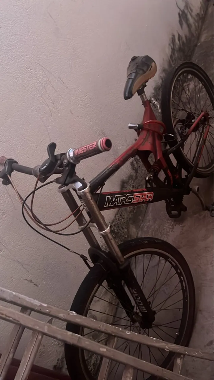 Bicicleta