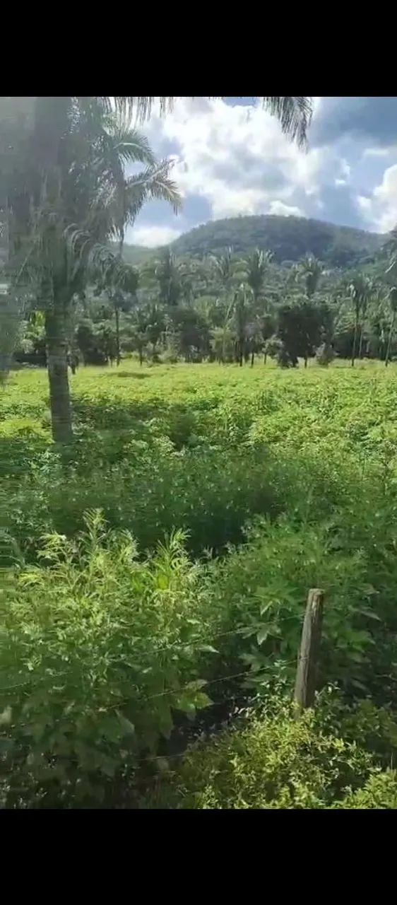 Chácara a venda  valor 600 mil. 1 alqueire  - Foto 4