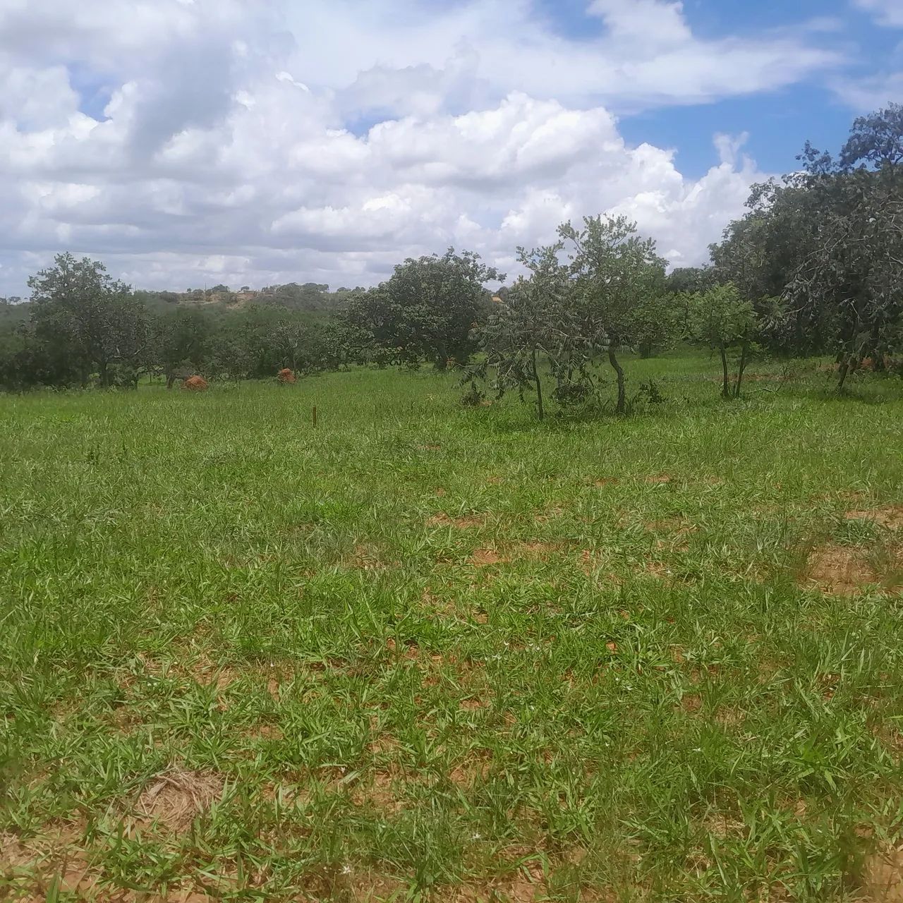 Terreno com área verde em ótima localização
