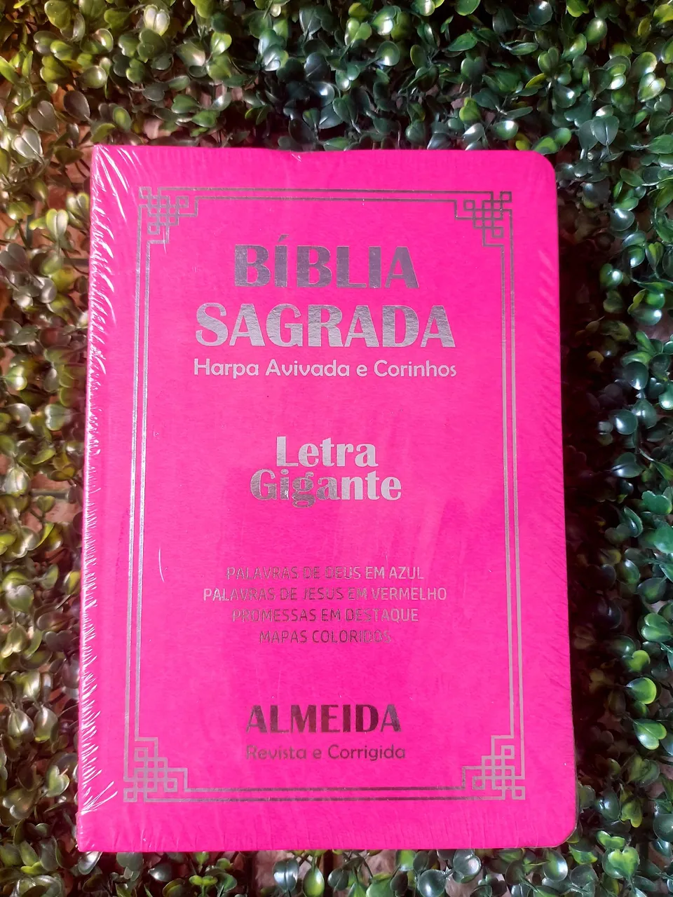 *PROMOÇÃO TODOS POR 85,00*