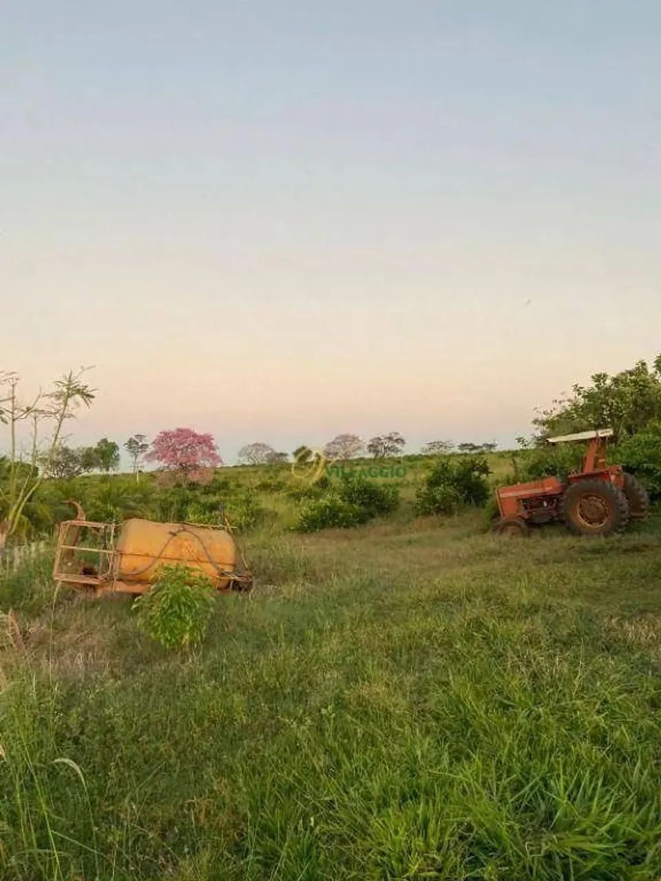 Fazenda com 3 dormitórios à venda, 377520 m² por R$ 3.600.000,00 - Rural - Palmeira d`Oest - Foto 5