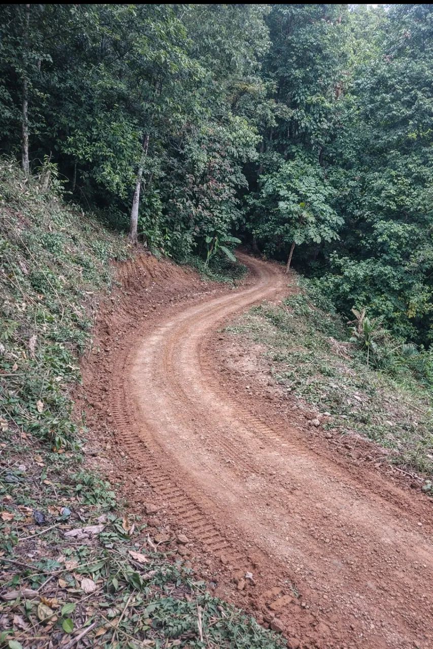 Foto - Cachoeiras de Macacu - Centro (Japuíba)
