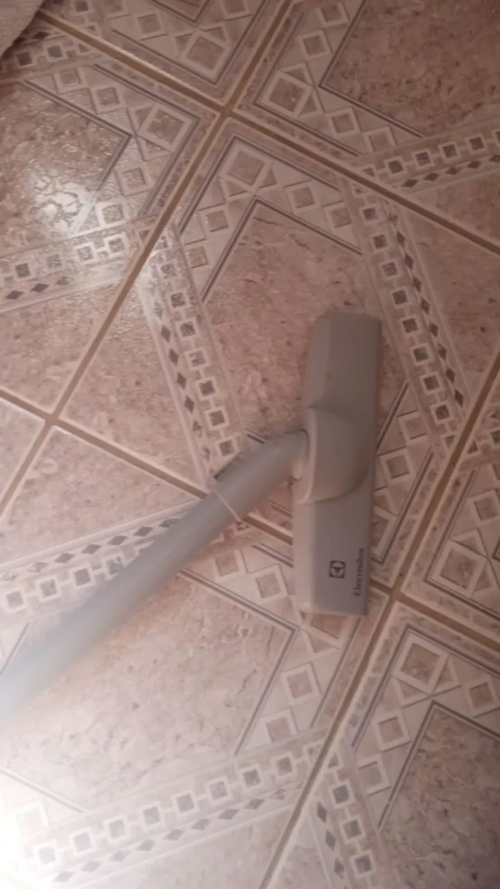 Aspirador de Pó Electrolux