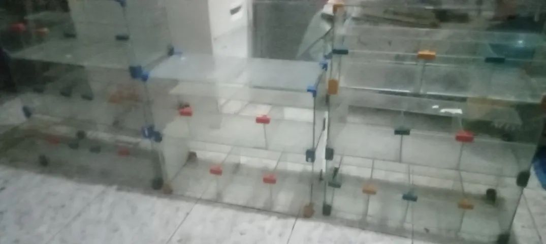 Expositores de vidro/ Bombonieres (3 unidades) - Foto 5