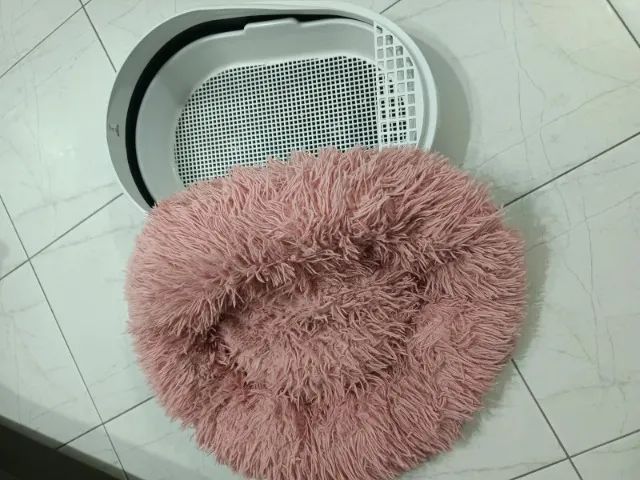 Banheira Gato