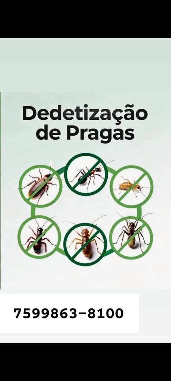 Dedetizador de pragas 