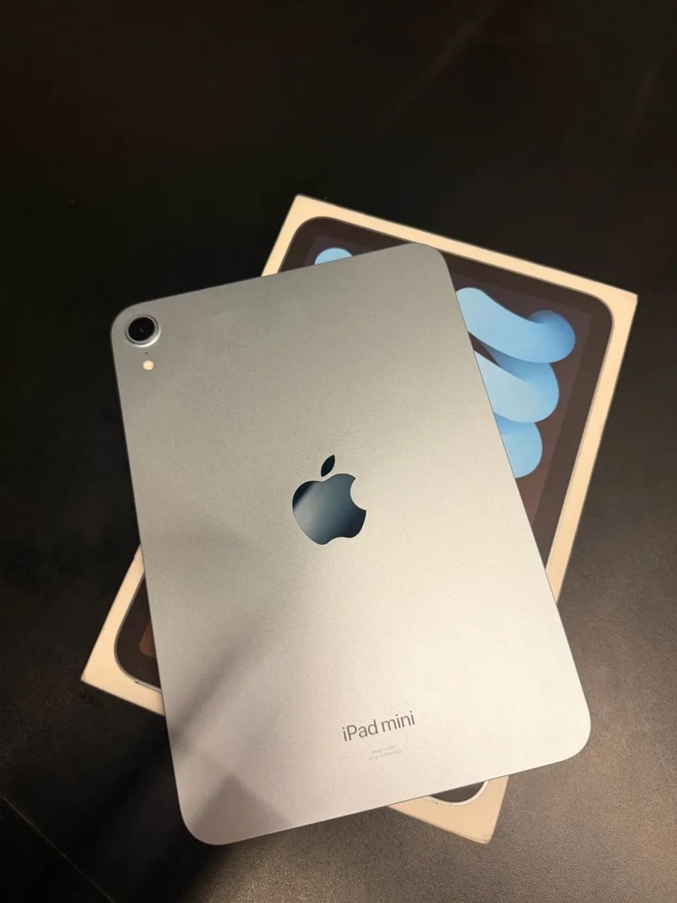 iPad Mini 7 - Garantia Apple