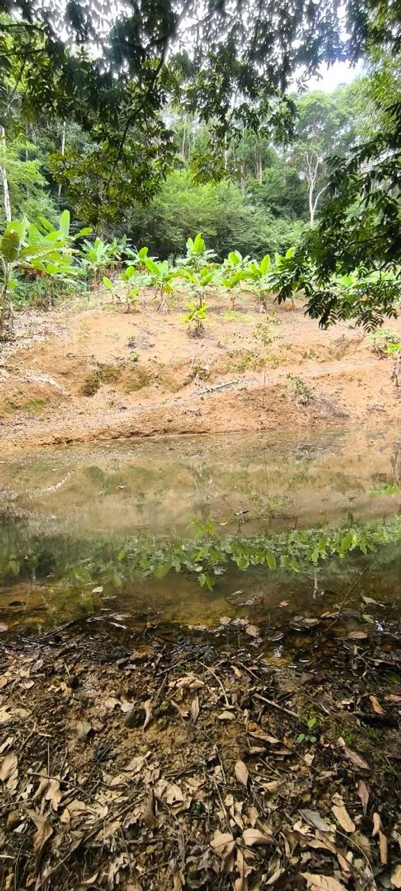 Vendo Chácara em Taquaras - Viana, próximo a Bom Jesus e Peixe Verde  - Foto 2