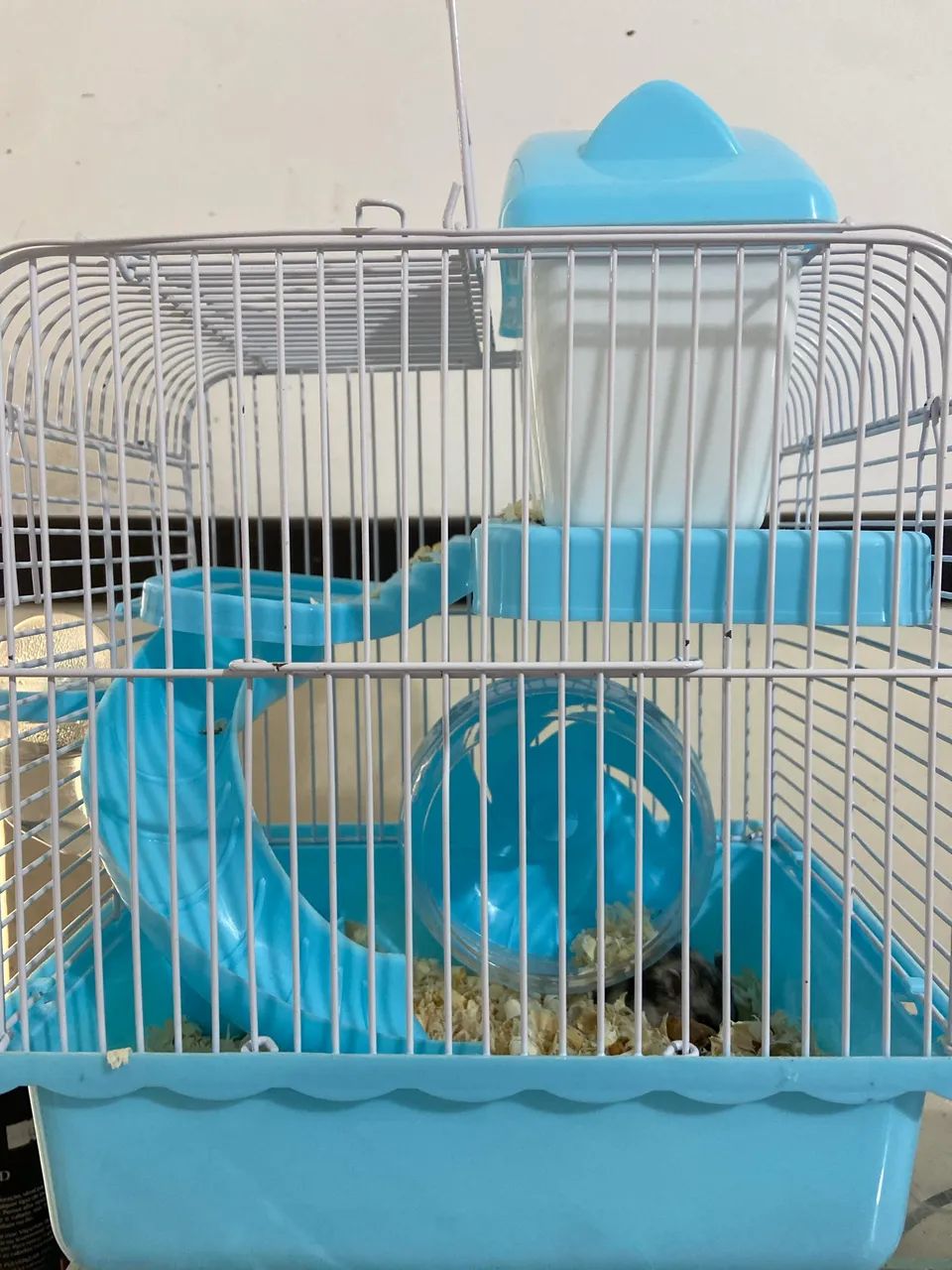 Hamster com gaiola 