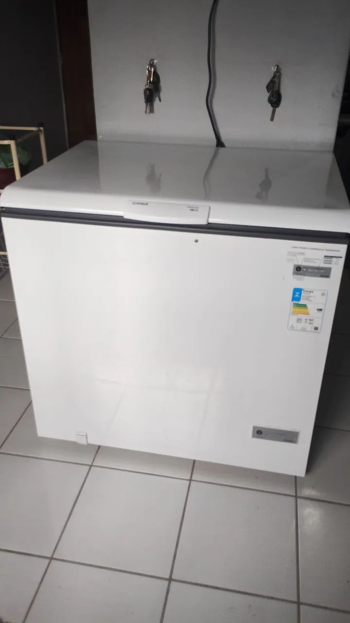 Freezer Consul 309 litros  $1.500 - Foto 4