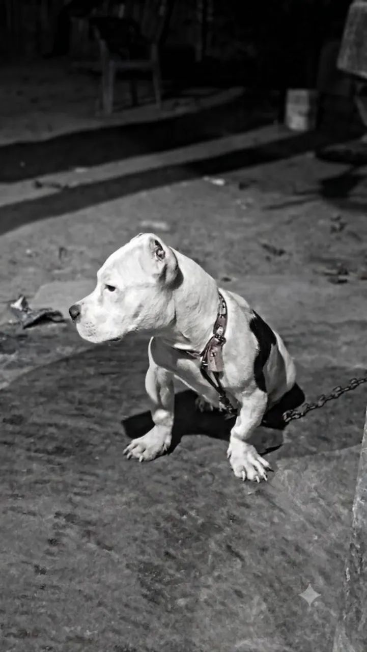 Pit monster 
