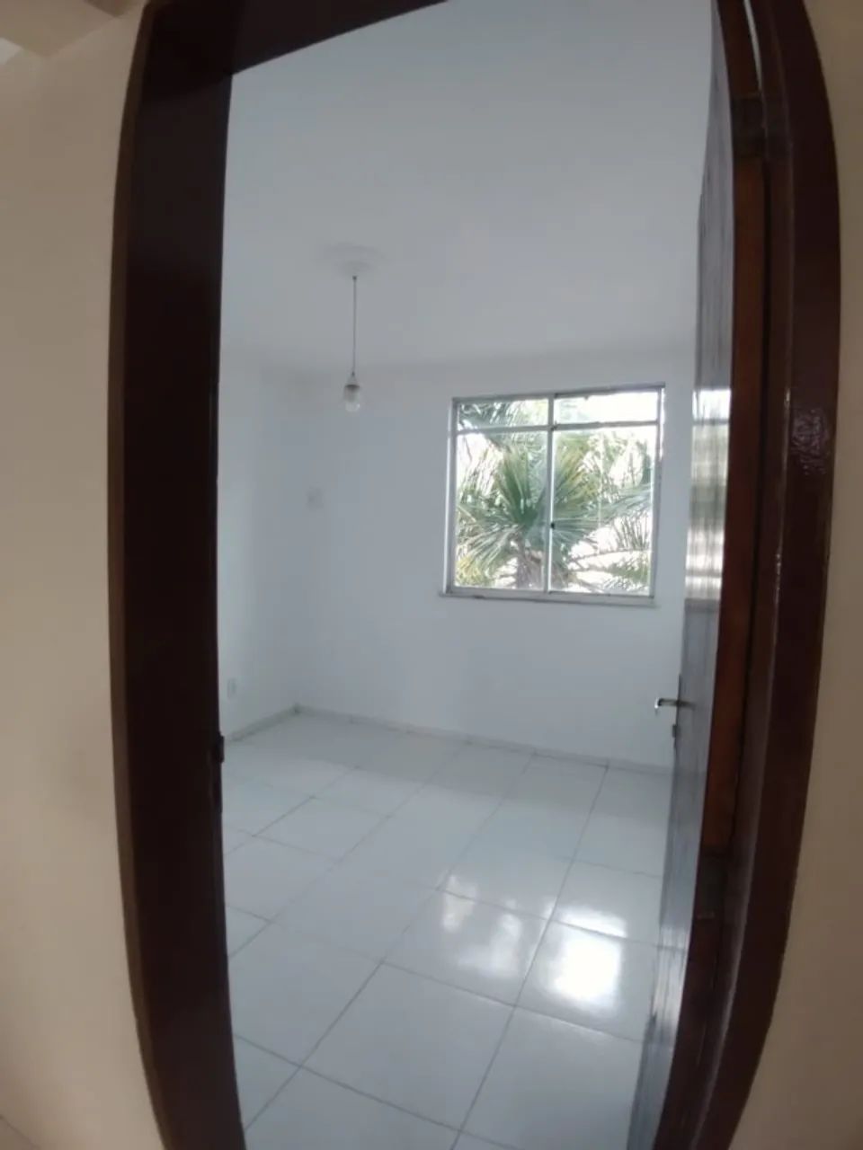 NOVO TEMPO II - VELUDO - Foto 5