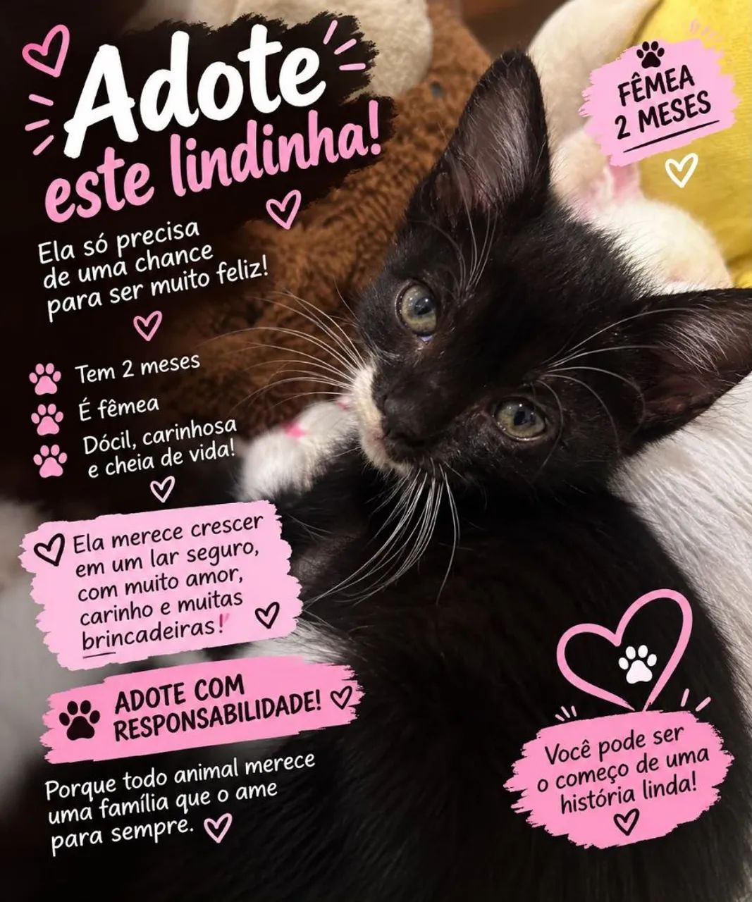 Adoção  - Foto 2