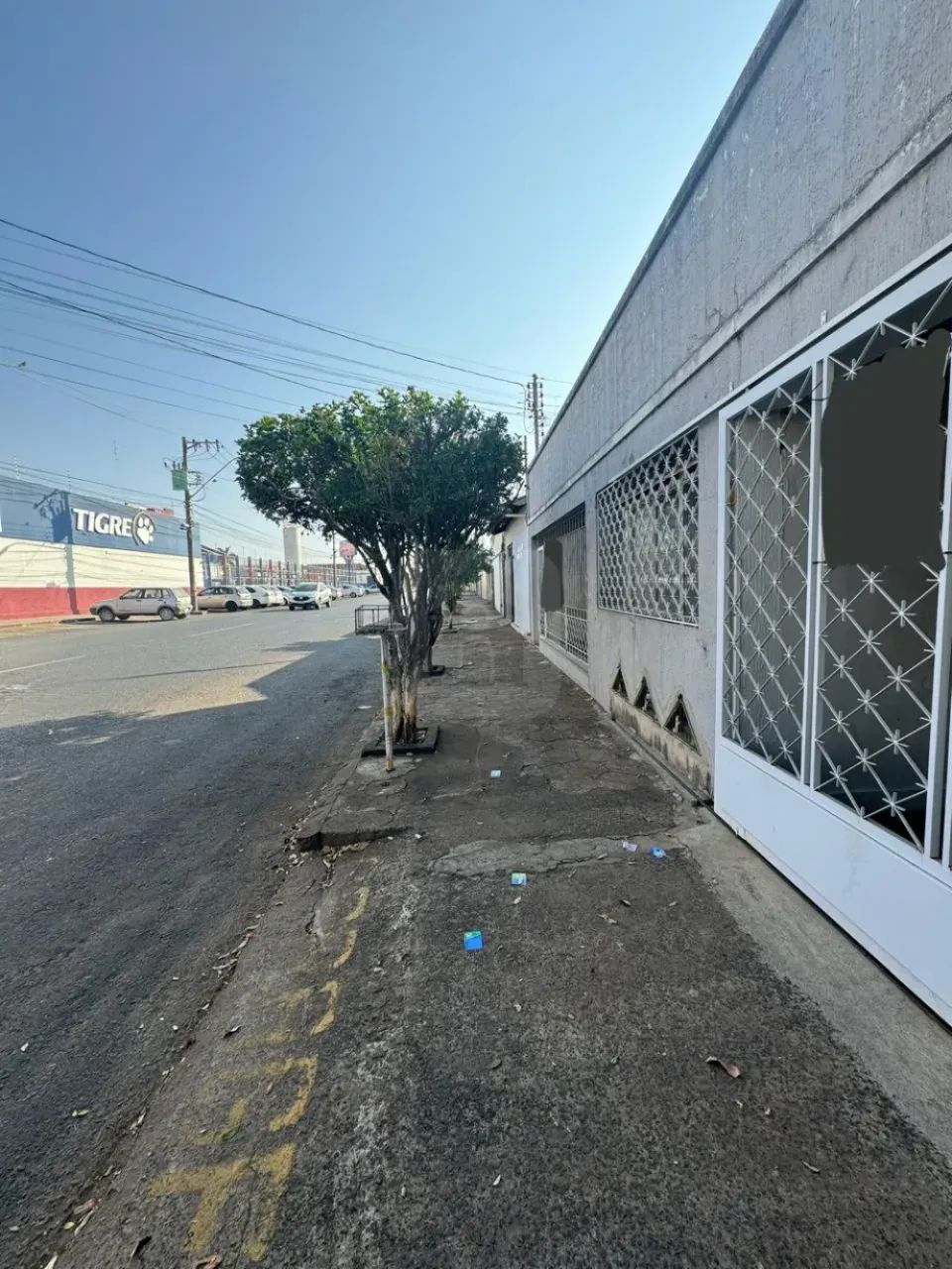 Imóvel Comercial ou Residencial no Centro de Araguari - Foto 3