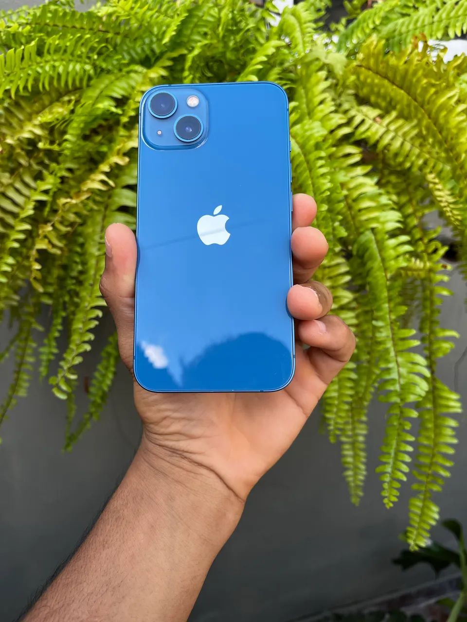 iPhone 13