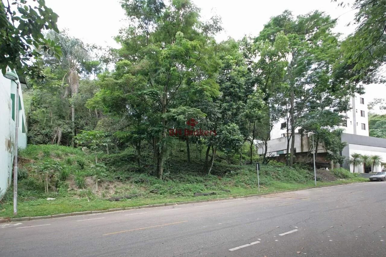 LOTE A VENDA NO VALE DO SERENO - Foto 3