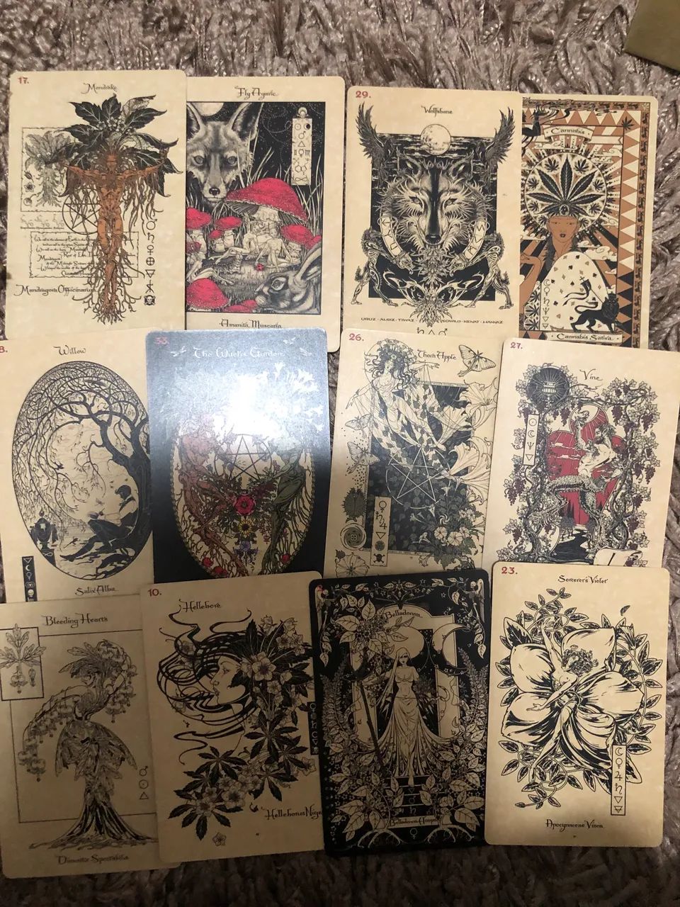 Oráculo/baralho/deck de cartas The Magickal Botanical  - Foto 3