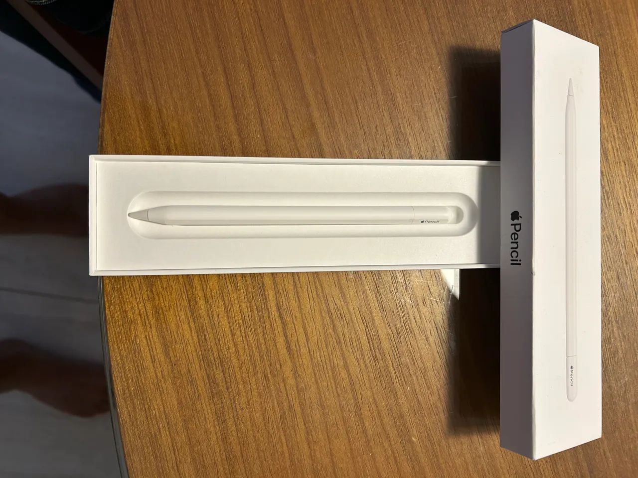 Apple Pencil (USB-C) para iPad 