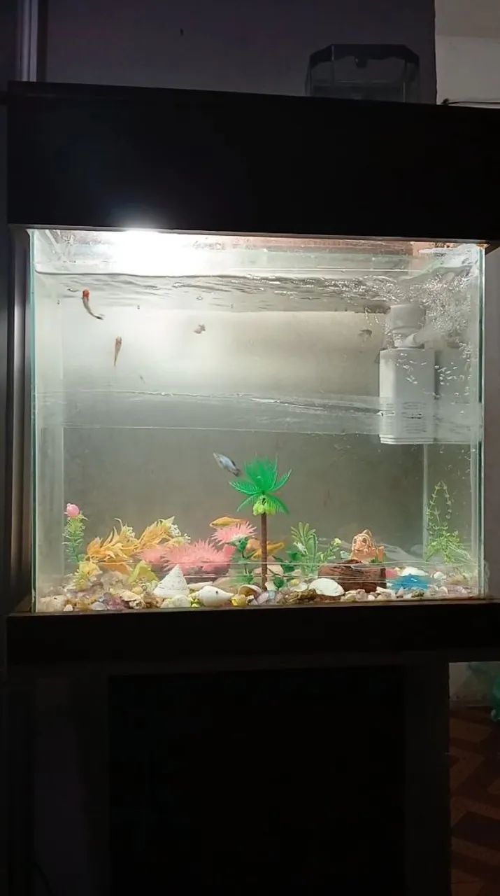 Aquario de 80 litros - Foto 2