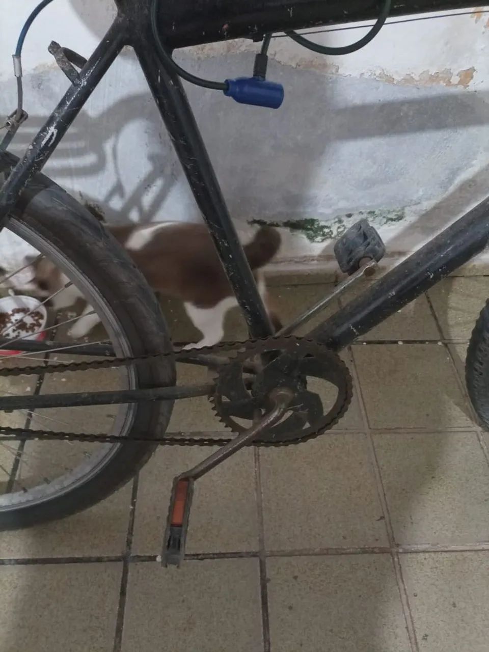 Bicicleta ? montada - Foto 5