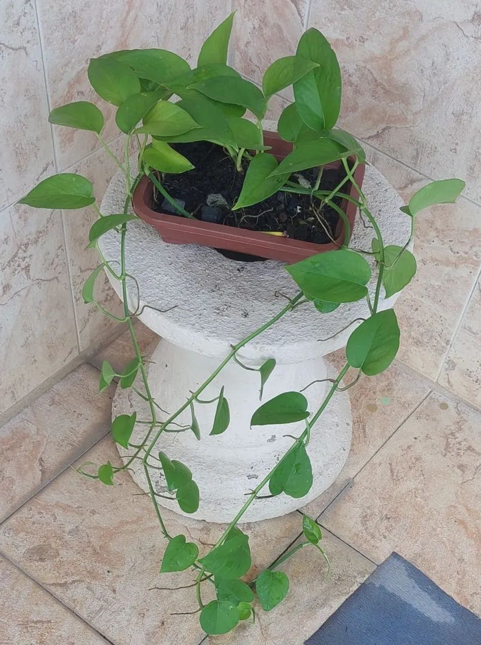 Vendo  - Foto 3