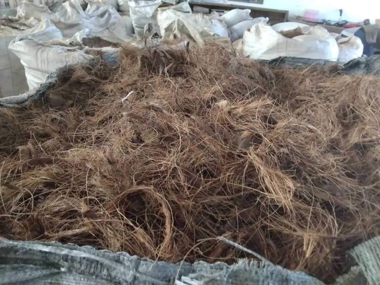 Fibra de Coco e Pó de Côco  - Foto 5