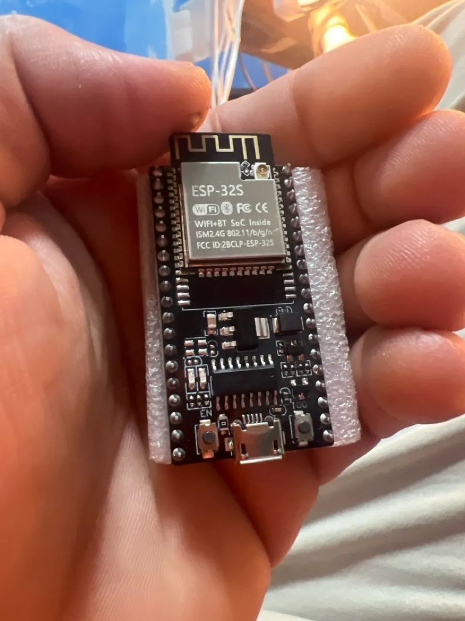 Esp32S