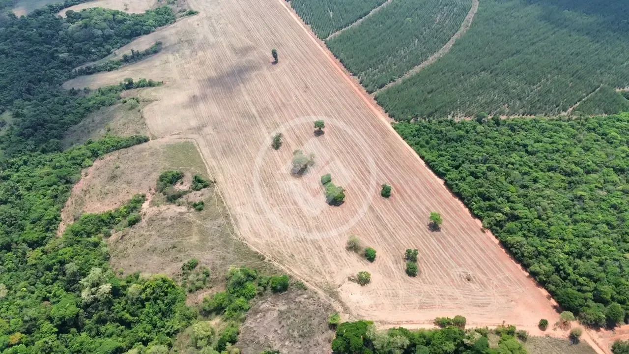 FAZENDA À VENDA  HIDROLÂNDIA/GO codigo: 384932 - Foto 5