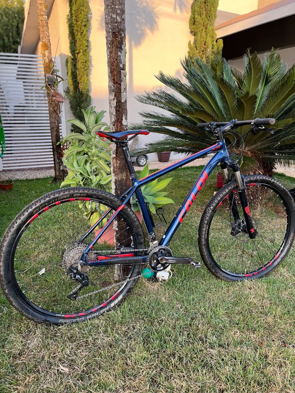 Bicicleta Caloi Elite 
