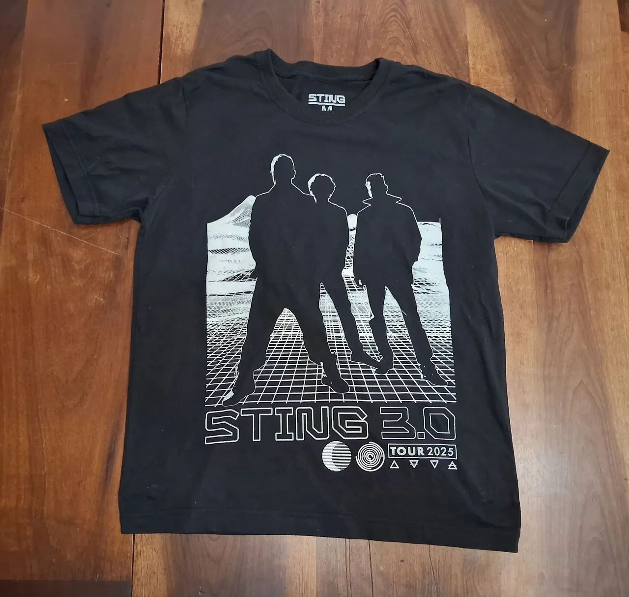 Camiseta Oficial Merchandising Show Sting Tour 3.0 2025 - Roupas