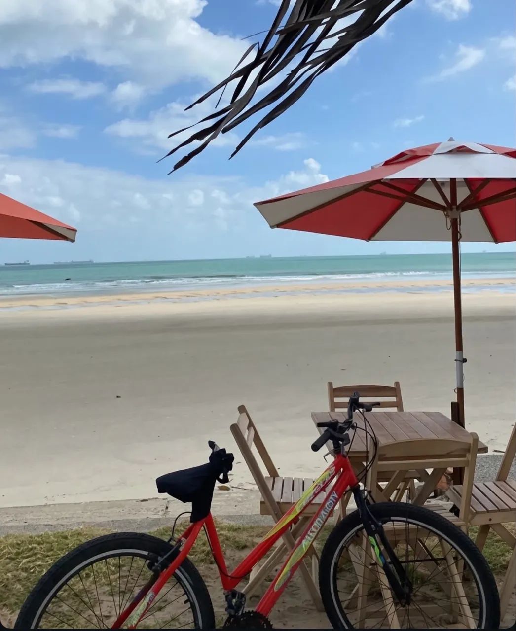 VENDO BIKE ARO 26
