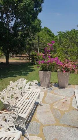 Chacàra relíquia ( santo antonio do leverger ) - Foto 5