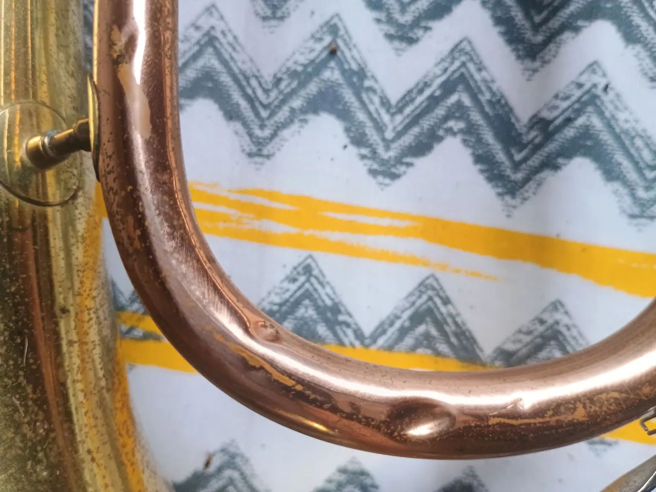 Flugelhorn dolphin - Foto 4