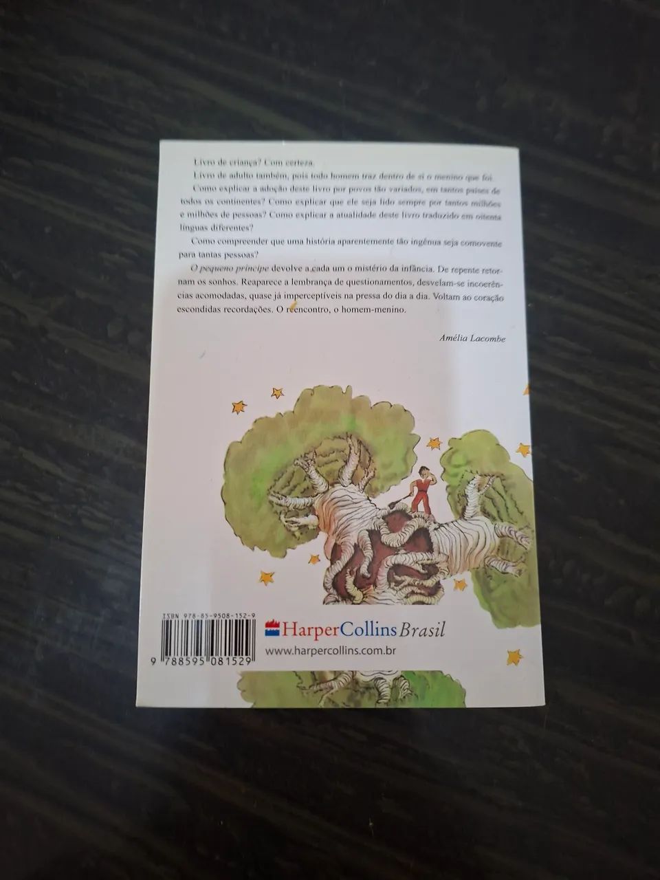 O Livro do Pequeno Príncipe (edição de bolso) - Foto 2