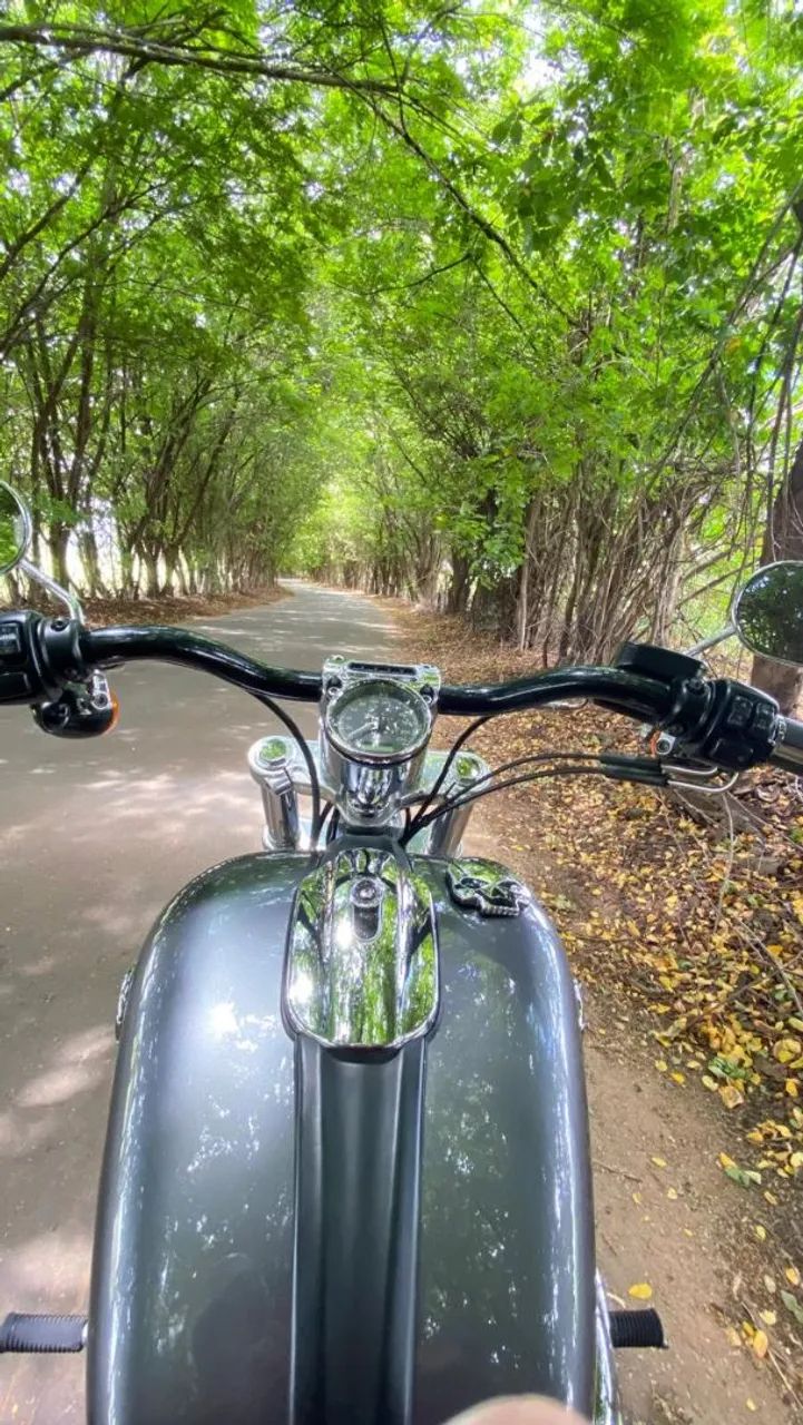 Harley Davidson breickout  - Foto 5