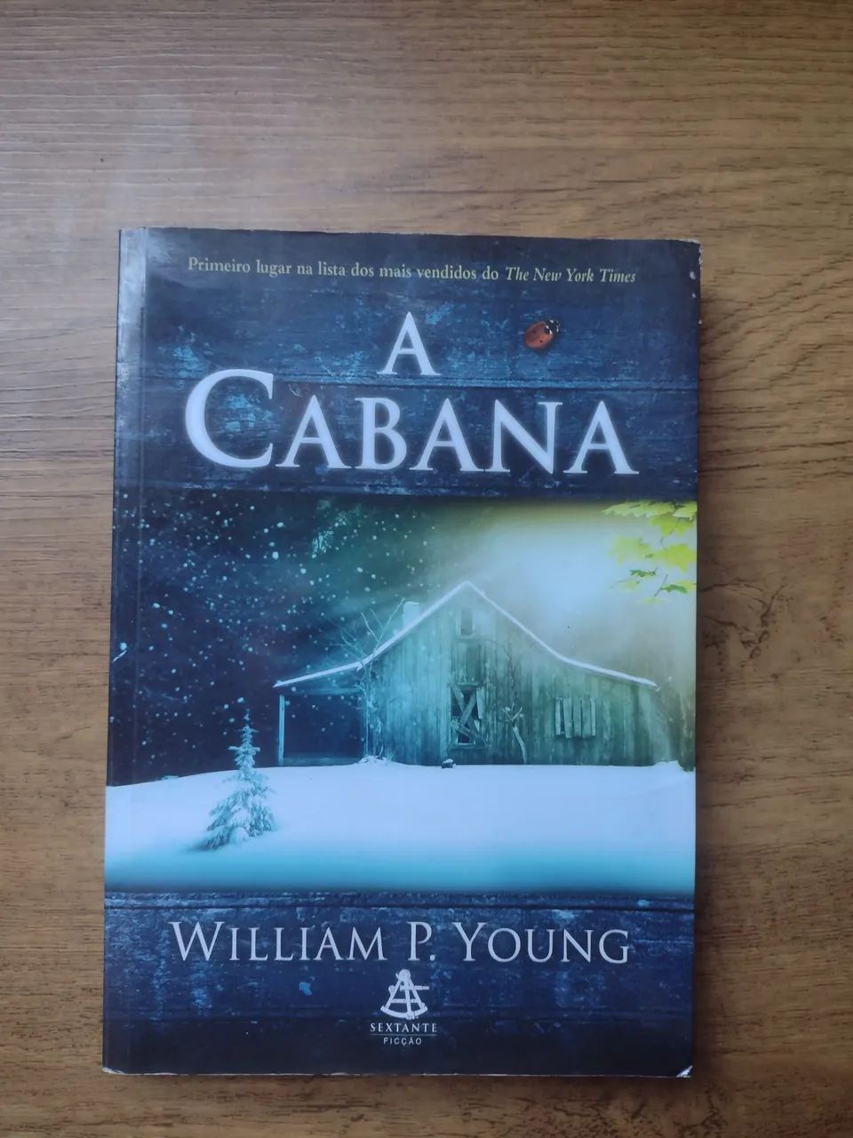 Livro: A cabana