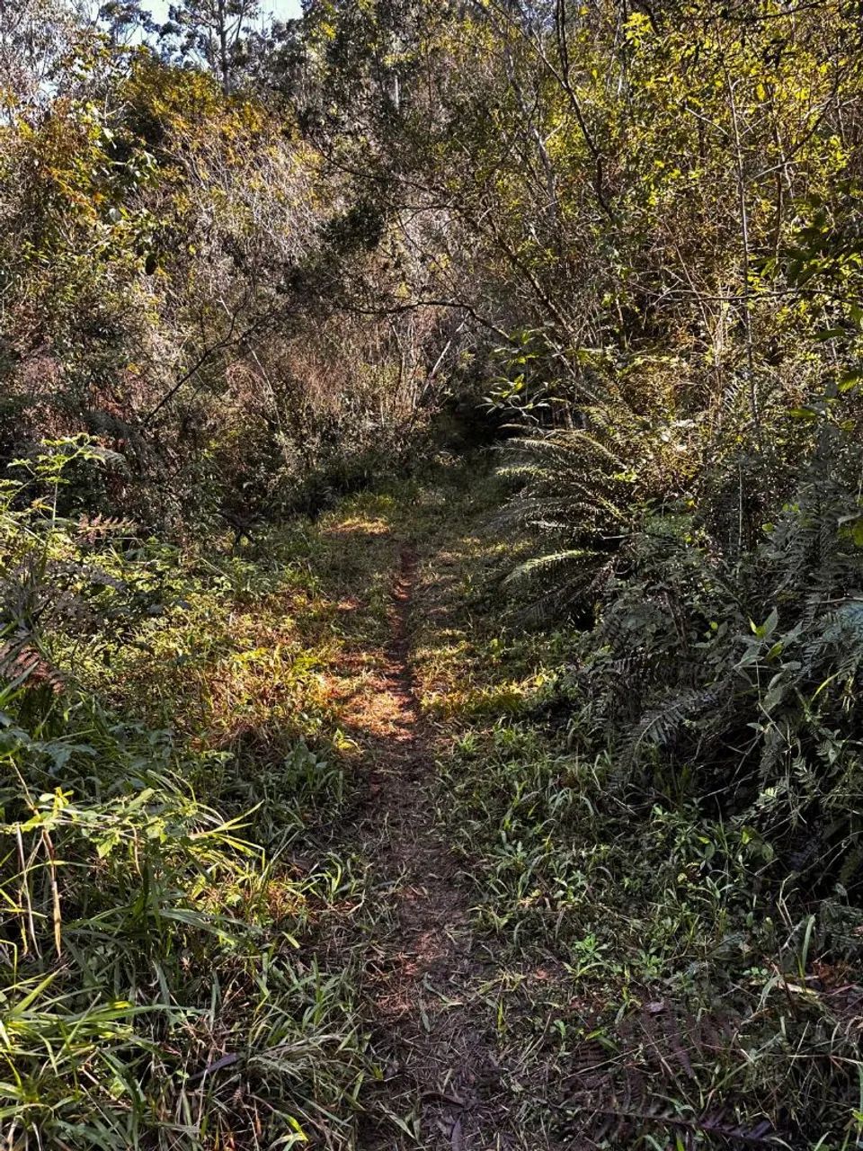 Vendo terreno em Treze de Maio - Foto 2