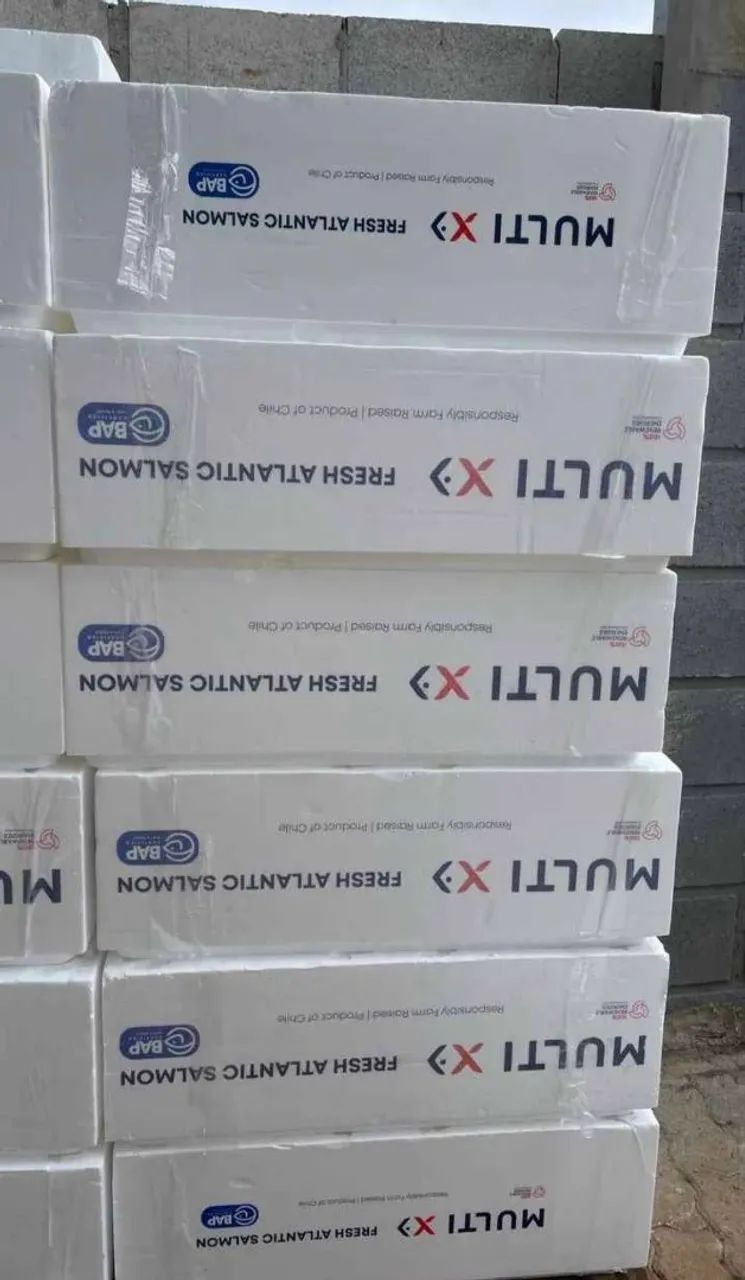 Caixas de Isopor 60 litros  - Foto 2