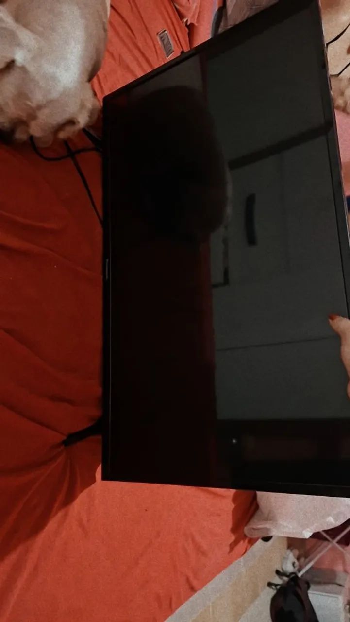 TV 32 polegadas Panasonic  - Foto 2