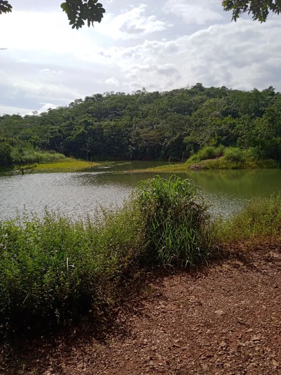 Vendo chácara em luziania - Foto 5